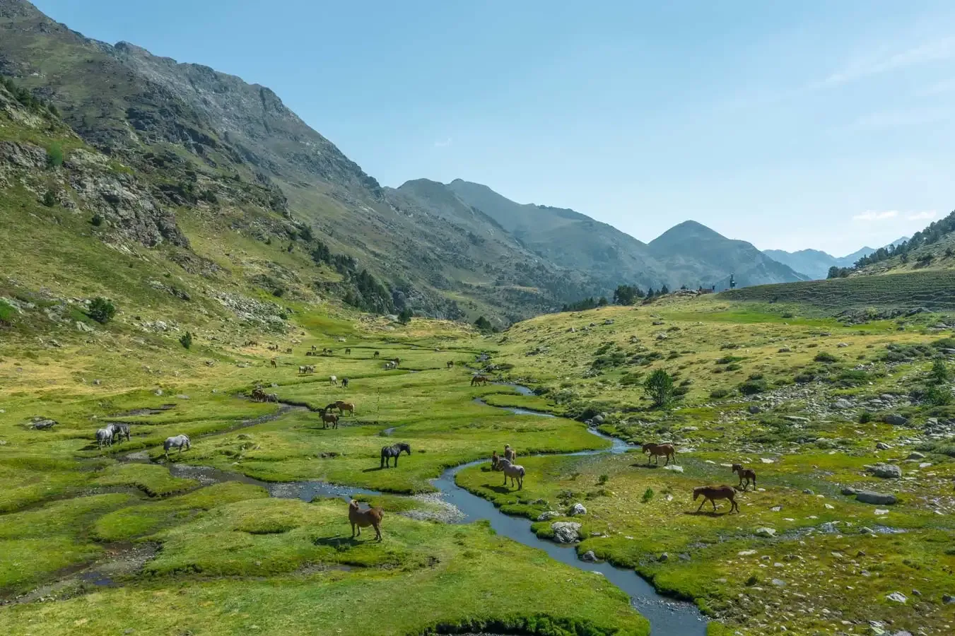 Biosfera d'Ordino