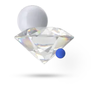 Disseny personalitzat